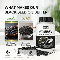 PURELYNUTRIENT cápsulas en la mano para comparar tamaño y dosificación práctica