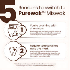 PUREWAK persona usando miswak, limpieza rápida y cómoda fuera de casa