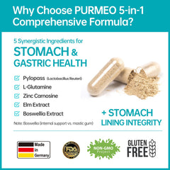 purmeo detalles de ingredientes activos enfatizando respaldo científico