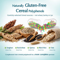 Granos como quinoa y sorgo de Quorinthiumax que aportan polifenoles únicos