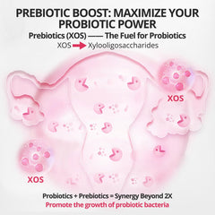 QVQ Womens Probiotic Slippery Elm Gummies in hand