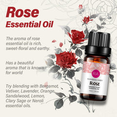 RAINBOW ABBY gota de aceite en superficie resaltando pureza y brillo