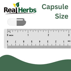 Real Herbs persona sosteniendo cápsula para uso diario práctico