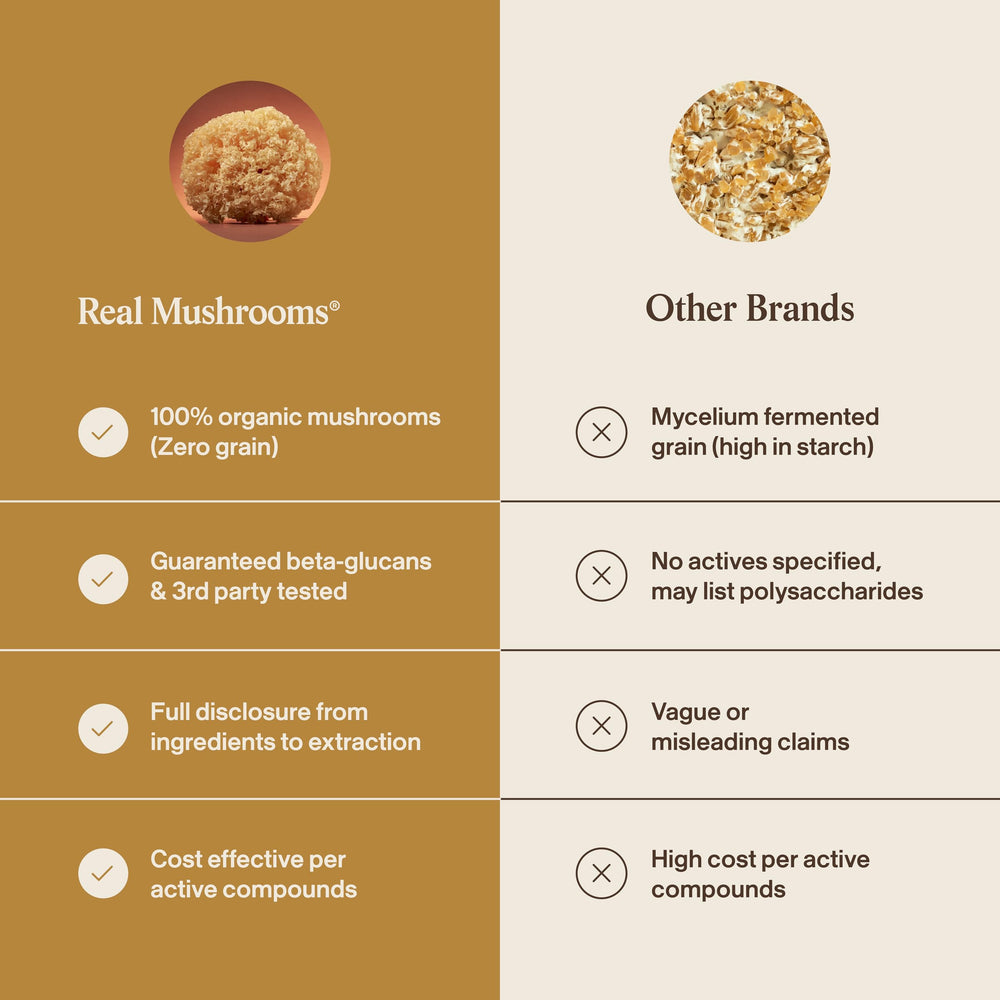 Real Mushrooms polvo en cocina, integración en recetas cotidianas