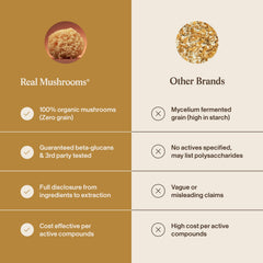 Real Mushrooms polvo en cocina, integración en recetas cotidianas