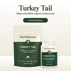 Real Mushrooms polvo de extracto mostrando textura fina y pureza