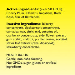 Caja de 35 pastillas RESCUE Bach, conveniencia para casa o trabajo