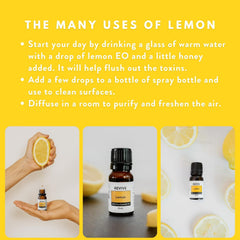 REVIVEEO con limones frescos ilustrando aroma cítrico natural