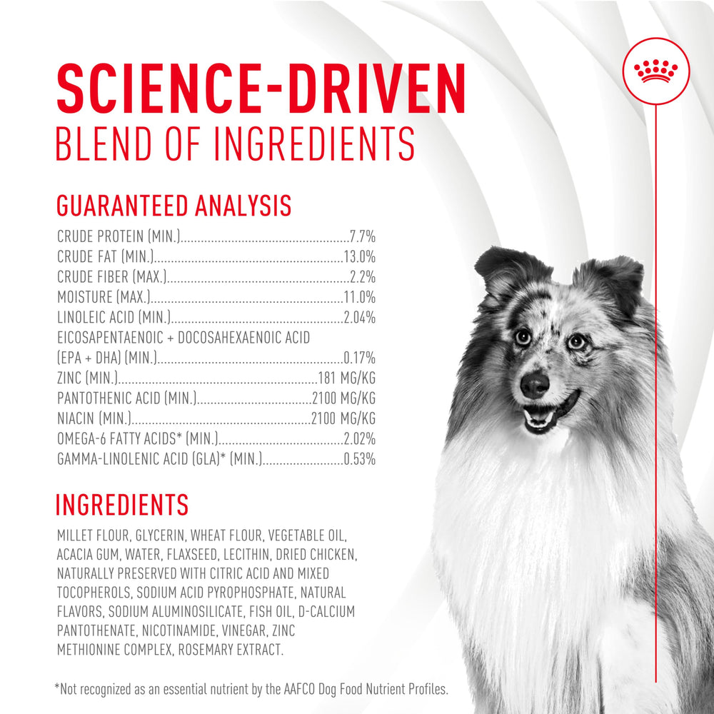 ROYAL CANIN etiqueta con ingredientes destacando ácidos grasos y zinc beneficiosos