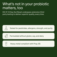 Seed uso durante viaje en maleta para soporte tras cambios de rutina