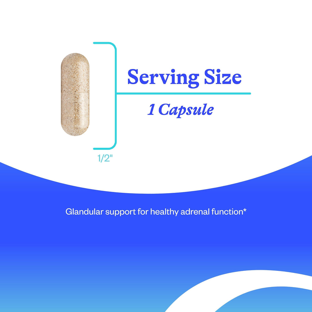 Seeking Health cápsula en mano para comparar tamaño y facilidad de uso