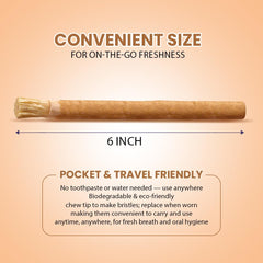 SEWAK AL HARAM pack de tres miswaks dispuesto para compartir con familia o amigos