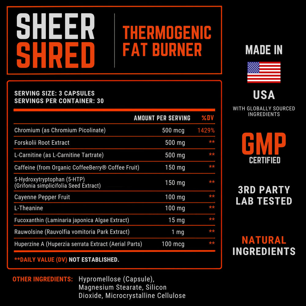 Sheer Strength Labs estilo de vida activo mostrando energía y foco