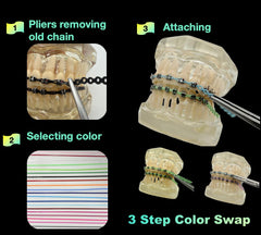 Sino Dental Group cadenas junto a regla para mostrar longitud útil de 8,6 pulgadas