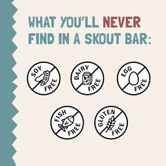 Snack portátil Skout, perfecto para escuela o oficina