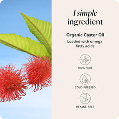 Sky Organics aplicación en manos para masaje capilar y mejor absorción