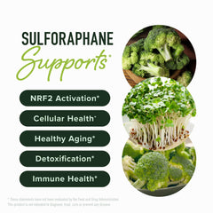 SMNutrition cápsulas en mano para visualizar la forma y facilidad