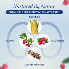 Snap Supplements ingredientes: extracto de arándano y semilla de uva con beneficios antioxidantes