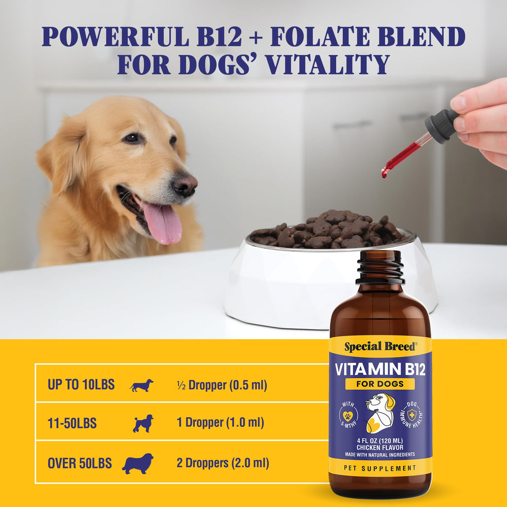 Special Breed etiqueta principal con información de metilcobalamina y 5‑MTHF visible