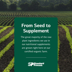 Uso diario de Standard Process A-F Betafood para bienestar digestivo.