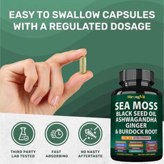Polvo de Irish seamoss en primer plano mostrando apariencia natural y pura
