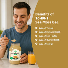 SumDIP gel en batido verde listo para consumir para mayor energía diaria