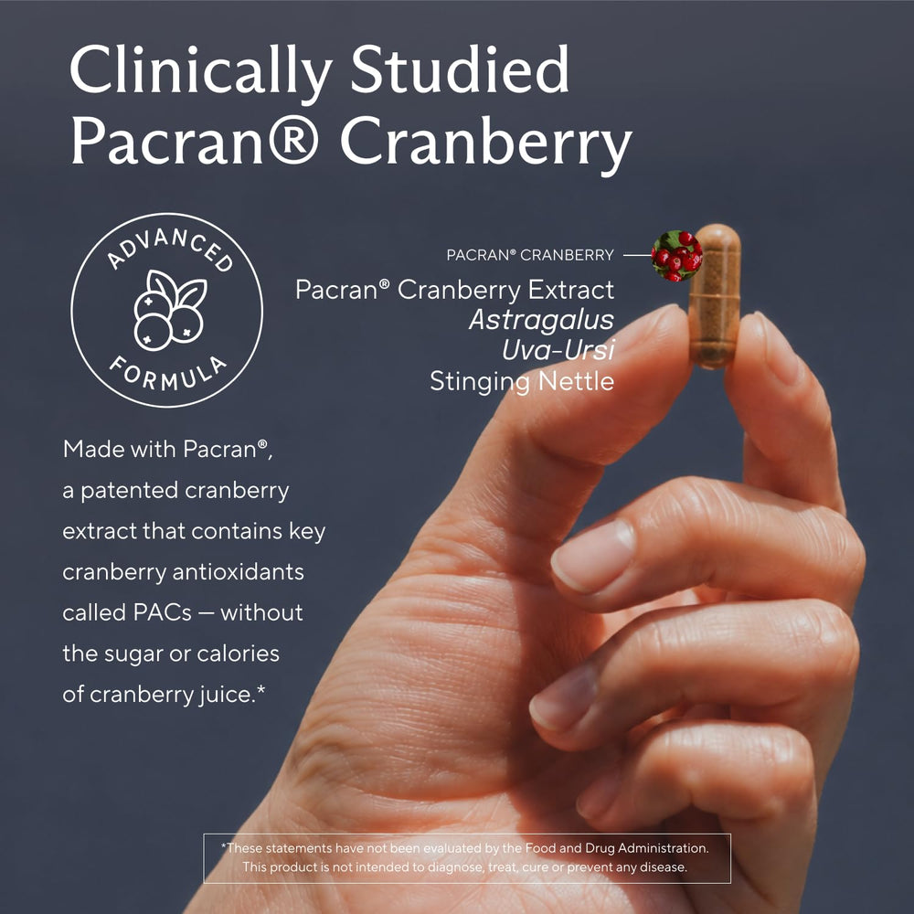 Primer plano de Pacran cranberry, ingrediente clave de Sunergetic con antioxidantes