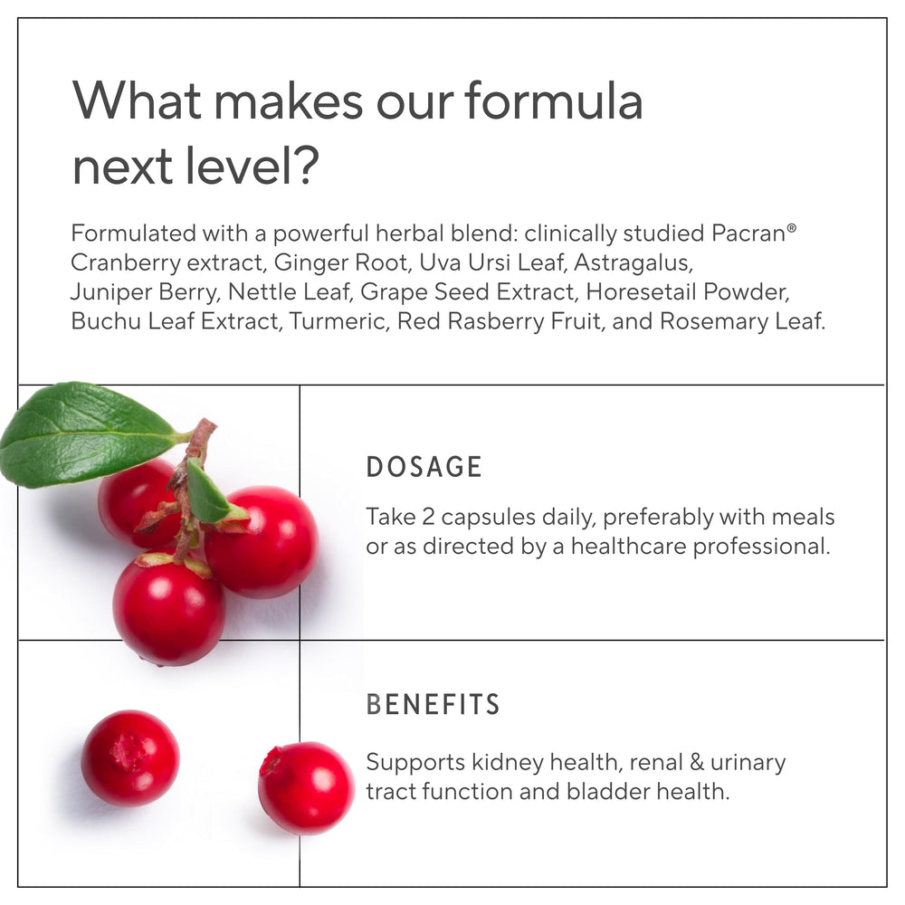 Sunergetic raíz astrágalo: hierba para apoyo renal.