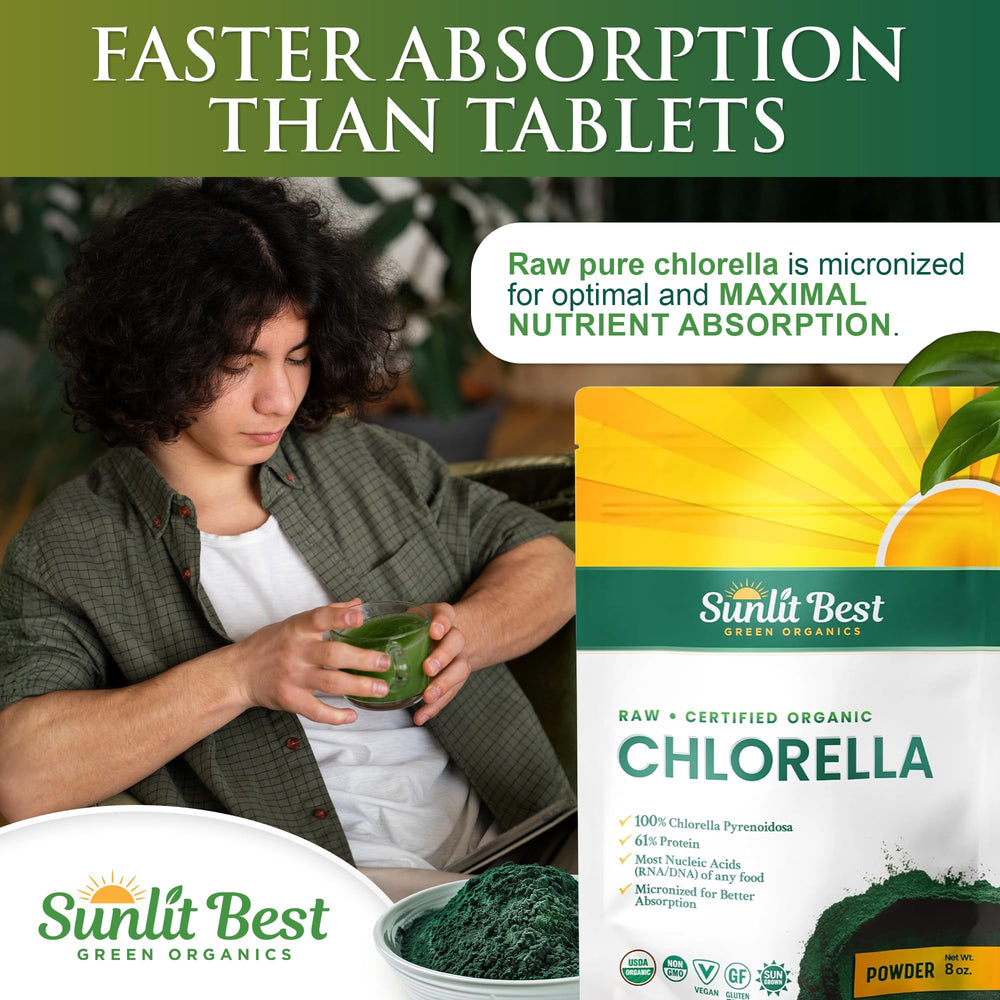 Bol con polvo de Sunlit Best chlorella listo para mezclar en recetas saludables
