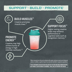 Sunwarrior creatina monohidrato polvo, recuperación muscular tras el ejercicio.