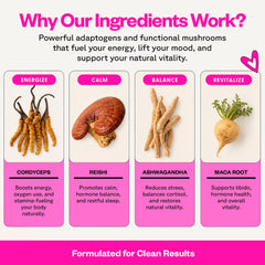 SuperMush ingredientes principales bodegón adaptógenos y hongos