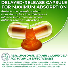 SUPPLEMENTS STUDIO cápsula abierta con gel líquido para absorción mejorada