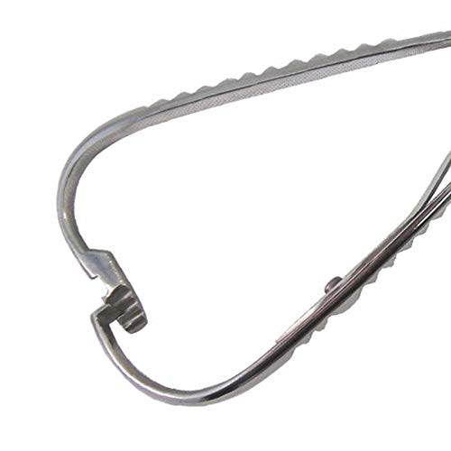 SURGICAL ONLINE pinza Mathieu junto a regla mostrando escala y 5.5 pulgadas