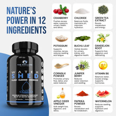 THE ENCLARE NUTRITION ingredientes naturales en mesa resaltando pureza