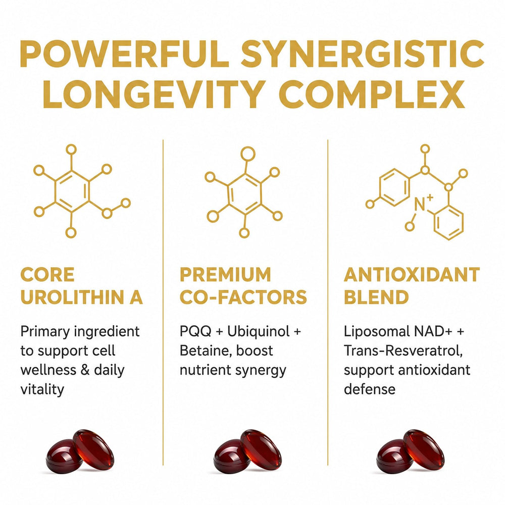 TIME LONG EVITY COMP softgel en mano mostrando tamaño y dosificación práctica