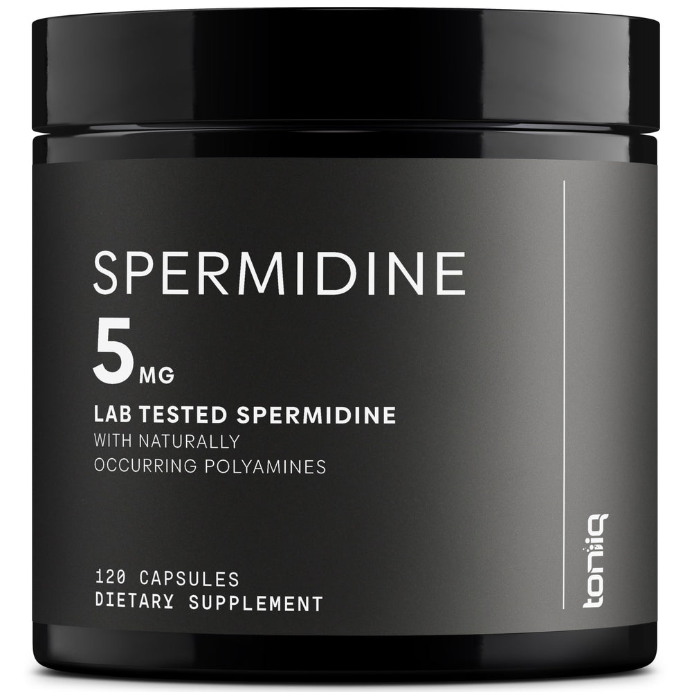Toniiq Spermidine bottle top—premium packaging for a high-concentration daily supplement.