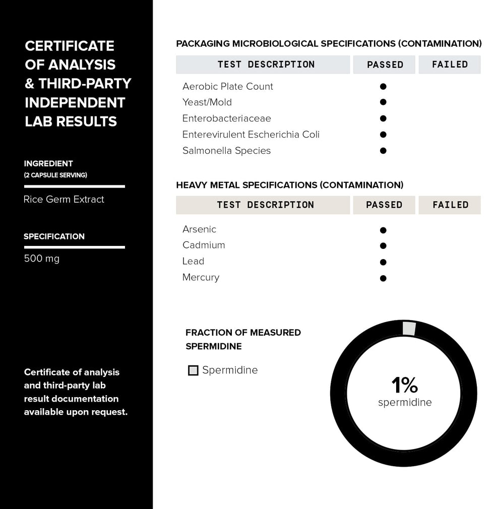 Toniiq Spermidine rice germ extract illustration—natural polyamines from rice germ.