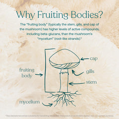 True Grace packaging with recycled bottle for eco friendly choice