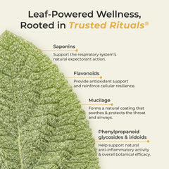 Trusted Rituals stick junto a regla para comparar tamaño y transporte fácil