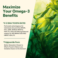 VEETAGYO microalgas fuente de Omega 3 mostrando origen vegetal