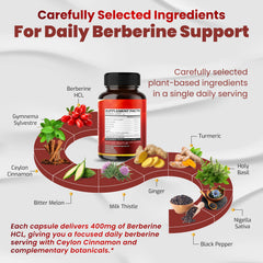 Vegatot etiqueta de ingredientes con lista visible y claridad