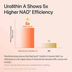 Vevoec Gynable cápsula en mano para comparar tamaño y fácil ingestión