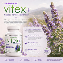 VH Nutrition polvo de extracto de Vitex textura pura para alta absorción