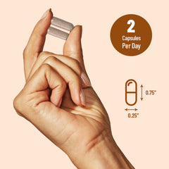 VisiVite sello fabricación EE. UU. para confianza en control de calidad