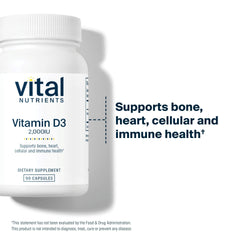 Vital Nutrients cápsula en mano para comparar tamaño y facilitar toma