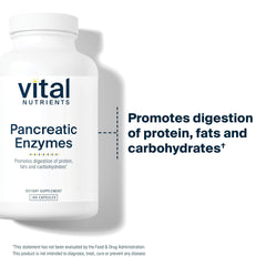 Vital Nutrients cápsula en mano para mostrar tamaño y facilidad