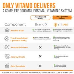 Vitamo cápsulas dentro del frasco listas para dosificar y maximizar absorción