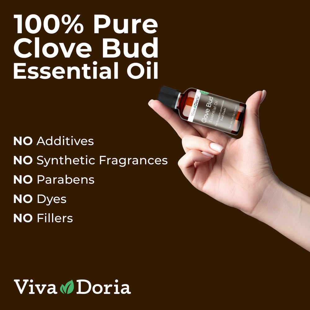 Viva Doria capullos de clavo de Indonesia como materia prima