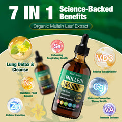 VivaVitalize hojas de gordolobo como ingrediente natural destacado y apoyo herbal
