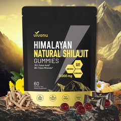 VivoNu gomitas de shilajit en envase, energía diaria práctica.